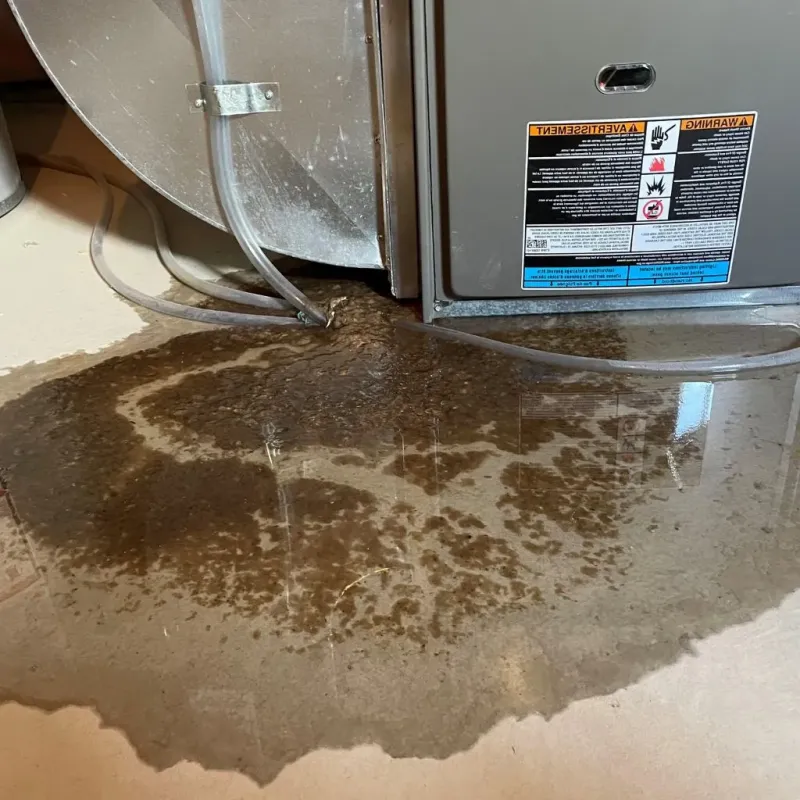Pipe Burst and Leak Restoration in Wiley Ford, WV
