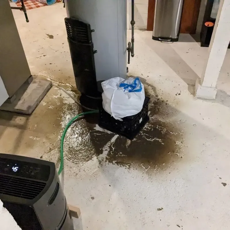 Sewage Backup Cleanup Service in Wiley Ford, WV